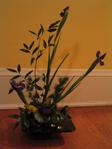 img_3564.jpg (1536 x 2048)
