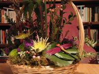 img_3690.jpg (2048 x 1536)