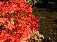 img_4623.jpg (1600 x 1200)