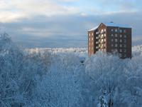 IMG_4691.JPG (2048 x 1536)