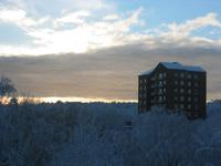 IMG_4698.JPG (2048 x 1536)