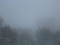 IMG_4710.JPG (2048 x 1536)