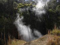 img_0011.jpg (1600 x 1200)