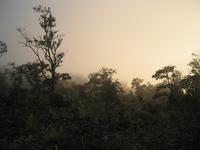 img_3440.jpg (2048 x 1536)