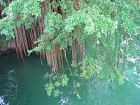 img_3495.jpg (2048 x 1536)