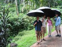 img_3501.jpg (2048 x 1536)