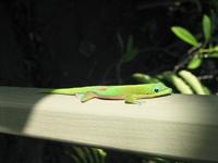 img_3514.jpg (2048 x 1536)