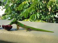 img_3518.jpg (2048 x 1536)