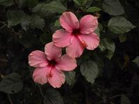 img_3415.jpg (1600 x 1200)