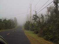 img_3434.jpg (1600 x 1200)