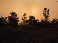 img_3441.jpg (1600 x 1200)