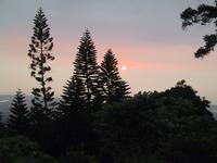 img_3444.jpg (1600 x 1200)