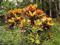 img_3567.jpg (1600 x 1200)