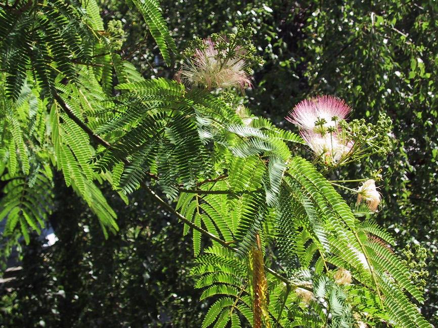 img_1645.jpg (1600 x 1200)