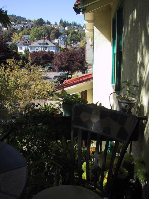 img_1923.jpg (1200 x 1600)