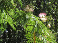 img_1645.jpg (1600 x 1200)