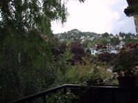 img_1646.jpg (1600 x 1200)