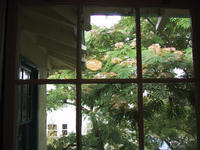 img_1649.jpg (1600 x 1200)