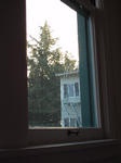 img_1856.jpg (1200 x 1600)
