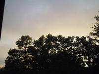 img_1857.jpg (1600 x 1200)
