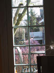 img_2333.jpg (1200 x 1600)