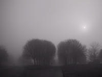 img_2289.jpg (1600 x 1200)