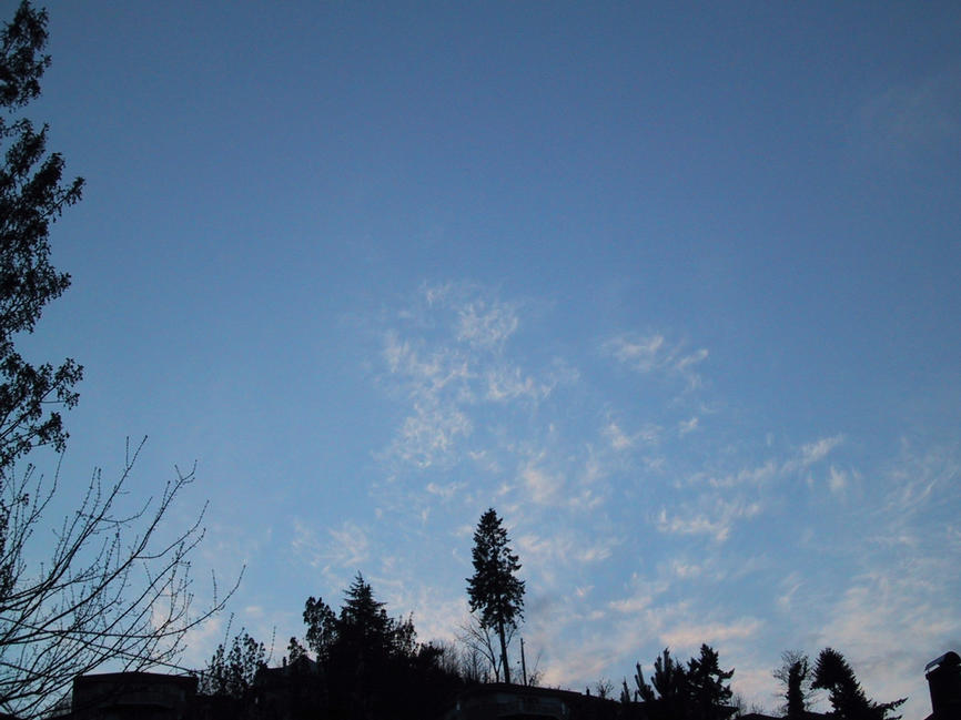 img_2439.jpg (1600 x 1200)