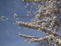 img_2418.jpg (1600 x 1200)