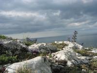 img_4132.jpg (2048 x 1536)