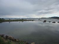img_4248.jpg (2048 x 1536)