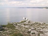 img_4226.jpg (1600 x 1200)