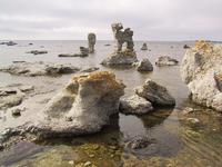 img_4254.jpg (1600 x 1200)