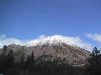 img_2350.jpg (1600 x 1200)