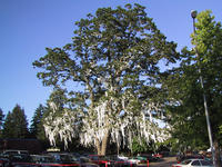 img_2662.jpg (1600 x 1200)