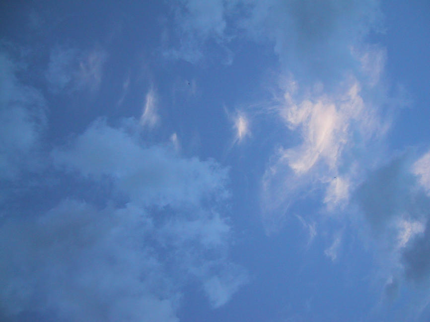 img_3124.jpg (1600 x 1200)