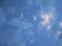 img_3124.jpg (1600 x 1200)