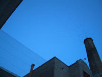 img_3134.jpg (1600 x 1200)