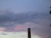 img_3143.jpg (1600 x 1200)