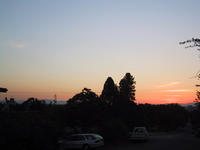 img_3167.jpg (1600 x 1200)