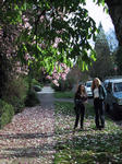 img_2423.jpg (1200 x 1600)