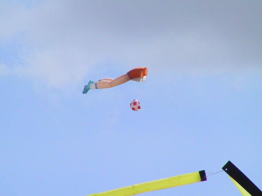 img_2724.jpg (1856 x 1392)