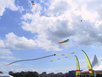 img_2723.jpg (1856 x 1392)