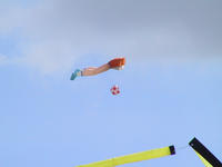img_2724.jpg (1856 x 1392)