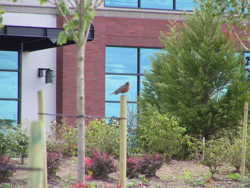 img_2657.jpg (1856 x 1392)