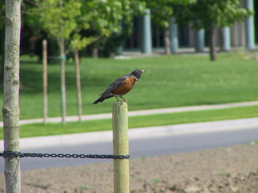 img_2660.jpg (1856 x 1392)