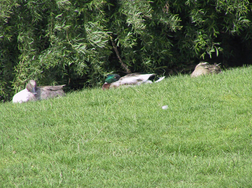 img_2665.jpg (1856 x 1392)