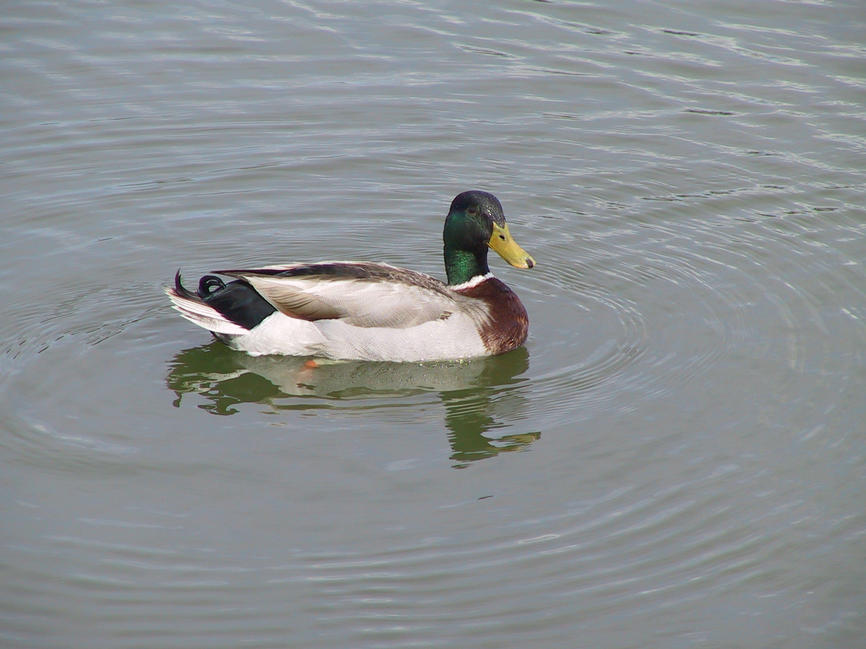 img_2668.jpg (1856 x 1392)