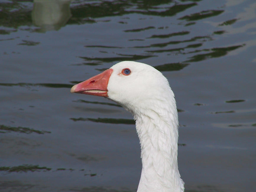 img_2670.jpg (1856 x 1392)