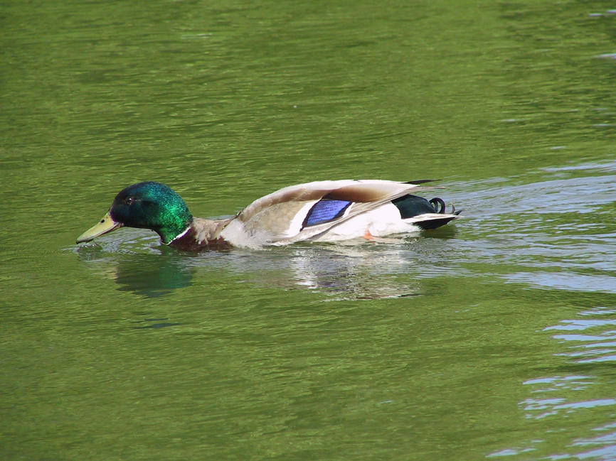 img_2674.jpg (1856 x 1392)