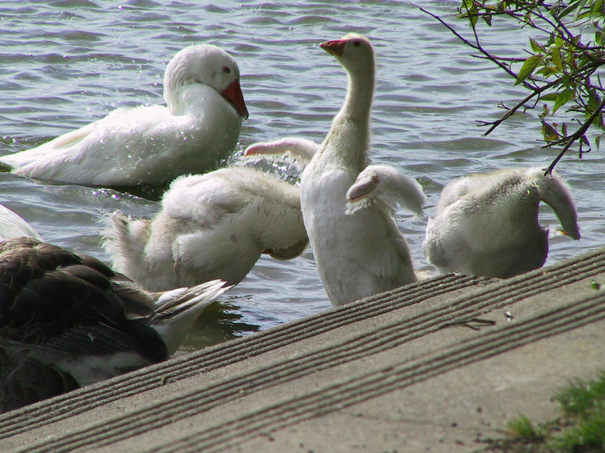 img_2677.jpg (1856 x 1392)